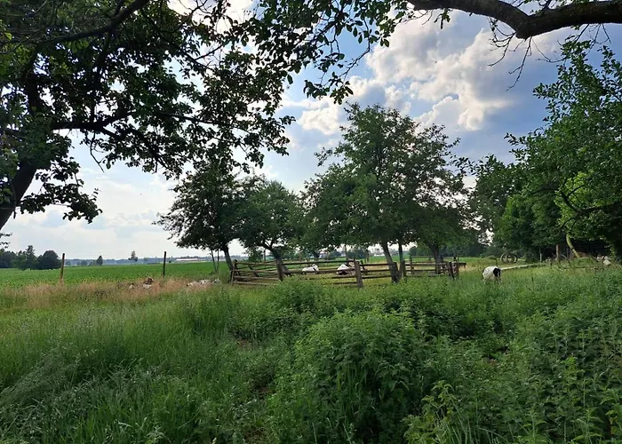 Srodziemie Lorien